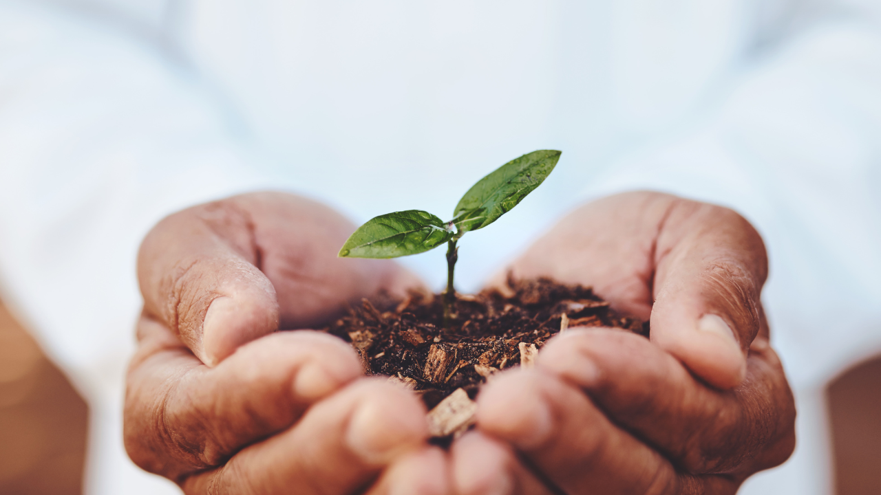 Thank You Page Examples To Help Nurture Your Leads